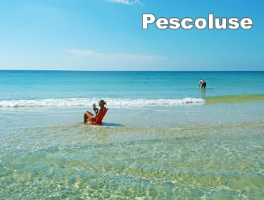 Case Vacanze Pescoluse